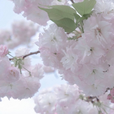 Furry绘画色彩技巧FurryQQ群